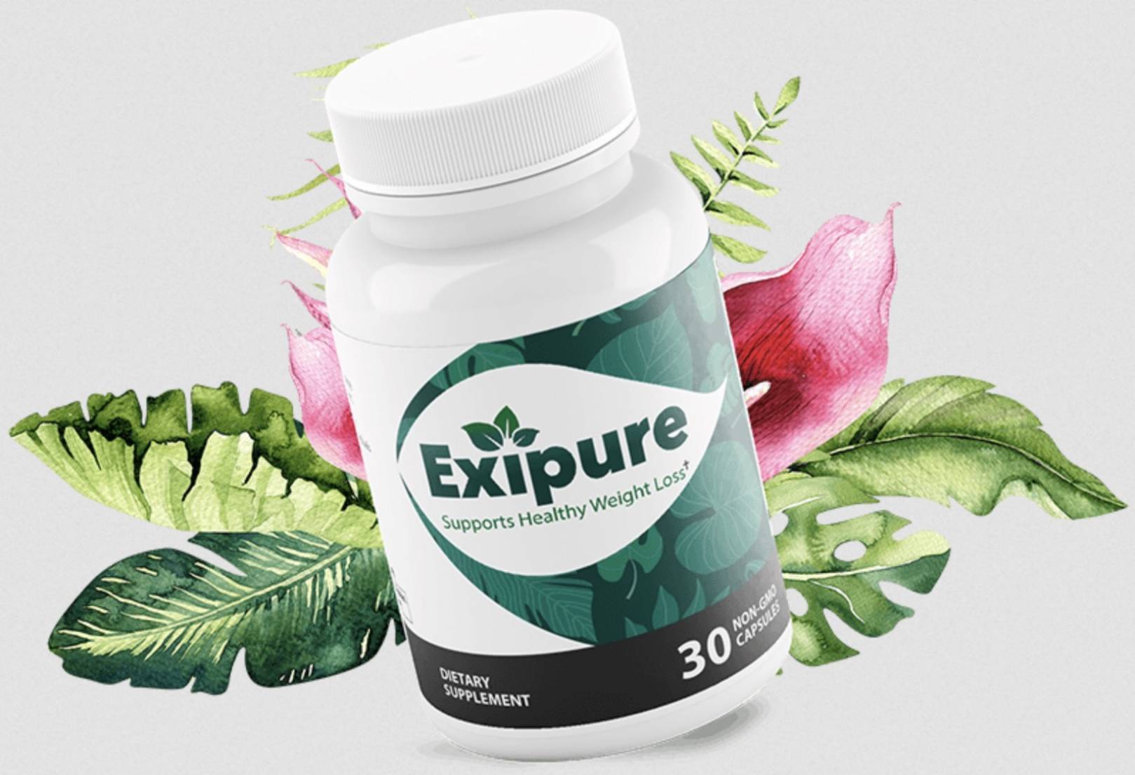 Exipure Weight Loss Pills Ebay